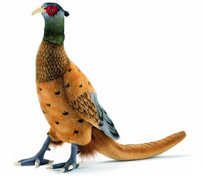 Мягкая игрушка - Фазан, 31 см. (Hansa, 3846)